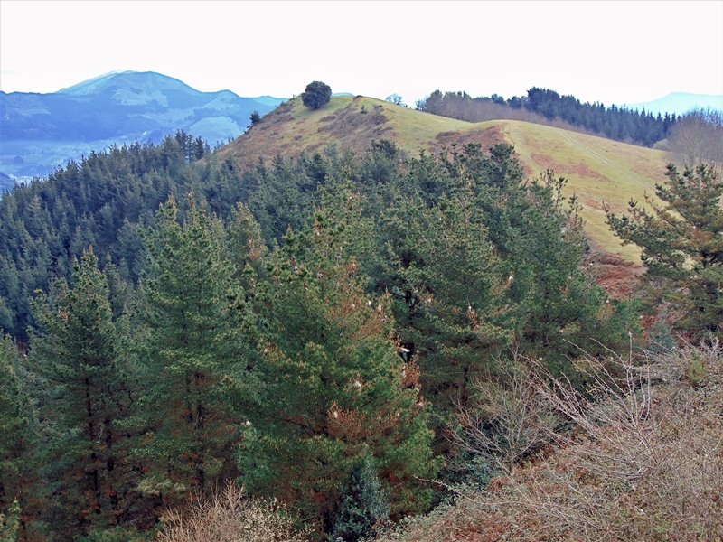 Ilso / Eguen