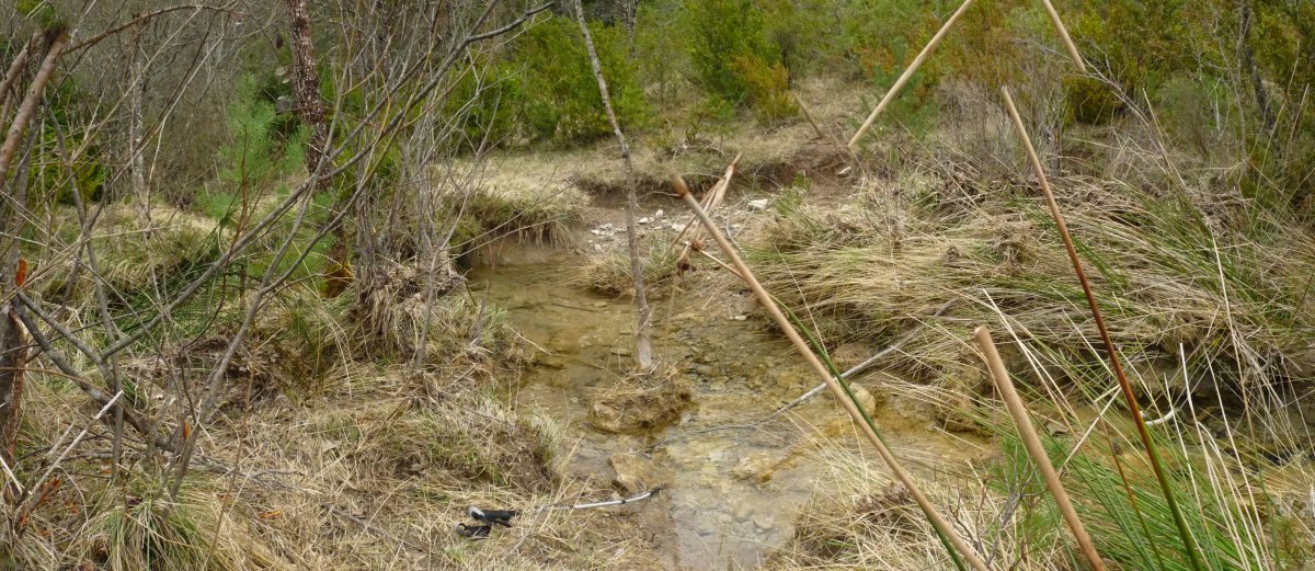 Sastoia erreka