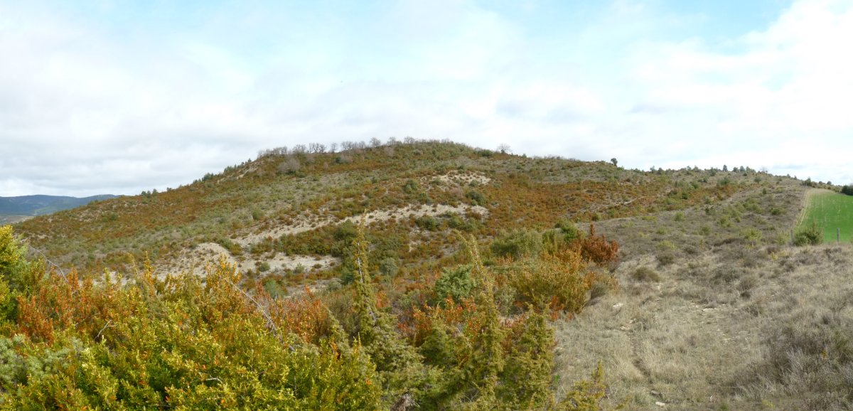 Monte Pequeño