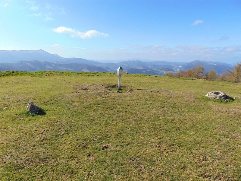 Tontorra