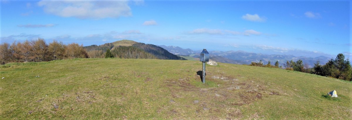Tontorra