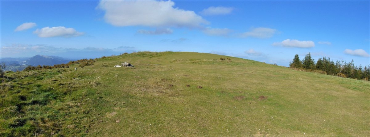 Tontorra