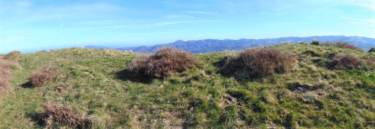 Tontorra