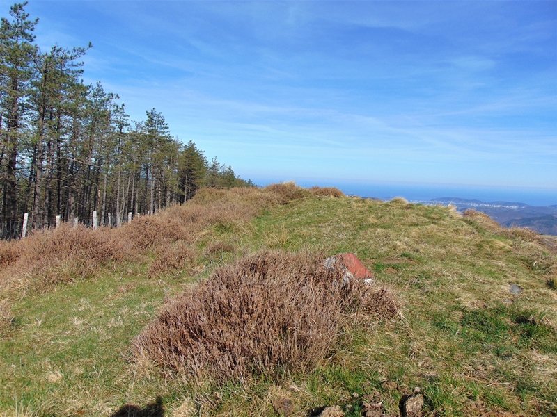 Tontorra