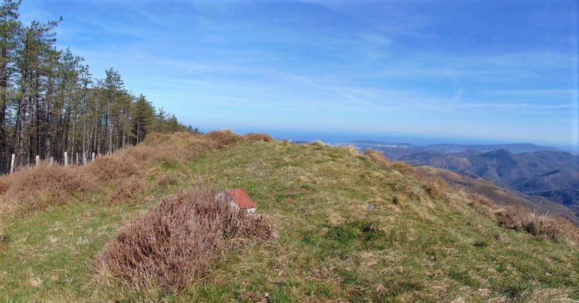 Tontorra