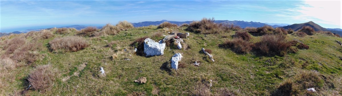 Tontorra