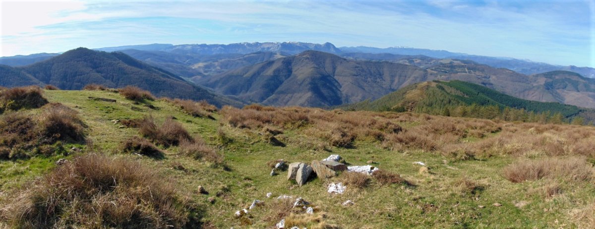 Tontorra
