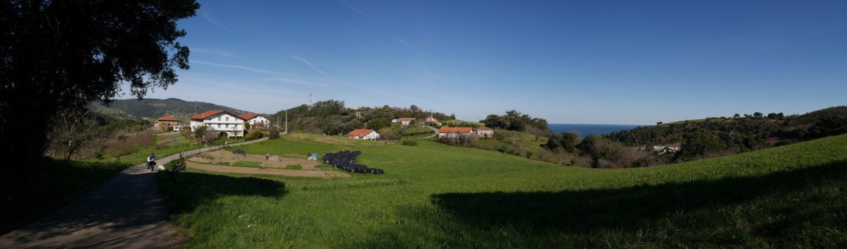Demiku auzoa