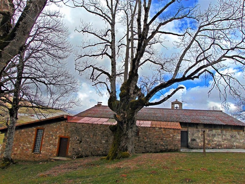 Lizarra
