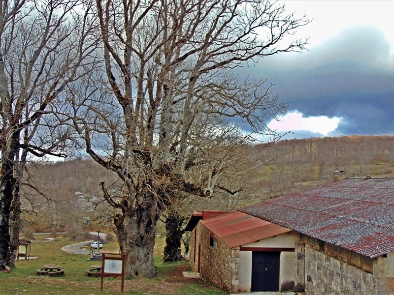 Lizarra