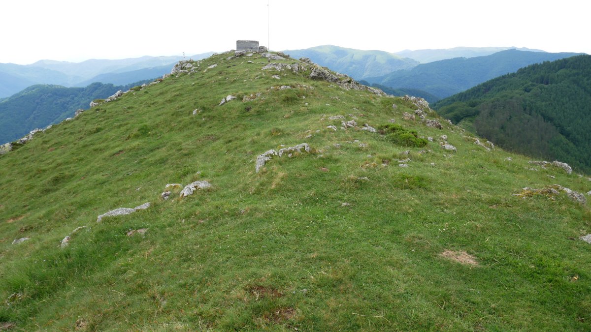 Mandoegi gailurra