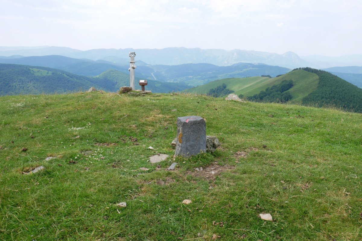 Urepel gailurra
