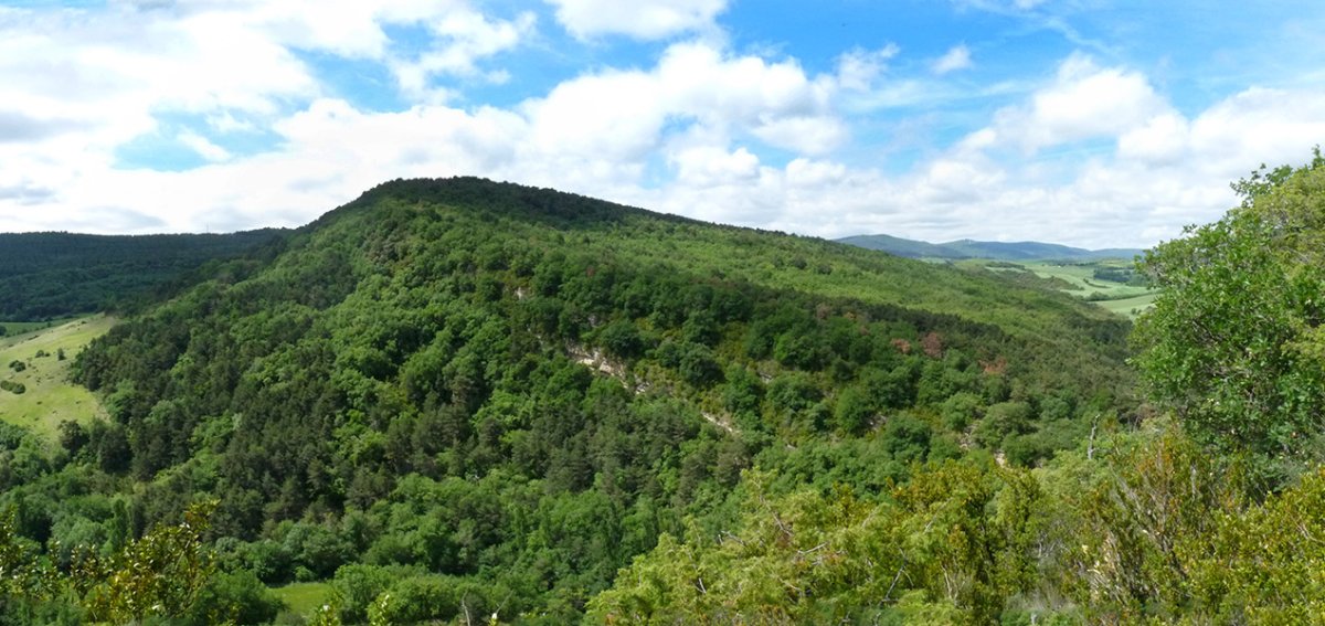 Monte Pequeño