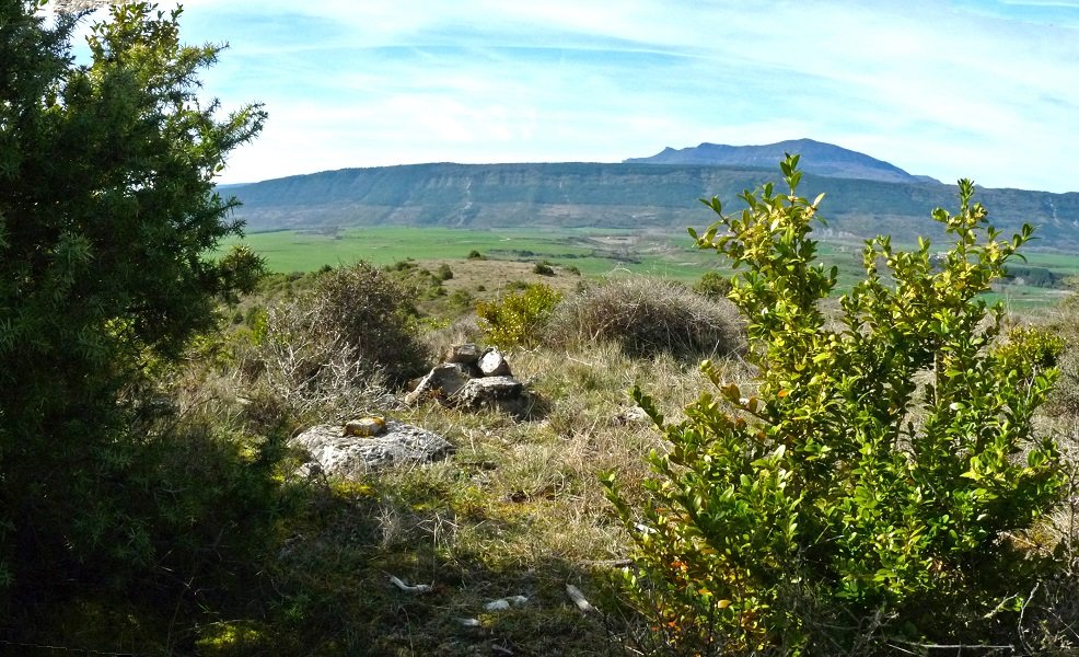 Ibargungo gailurra