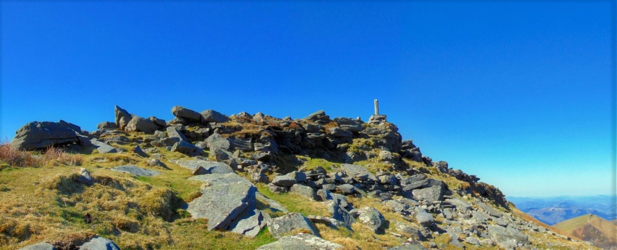 Tontorra