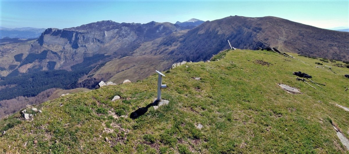 Tontorra