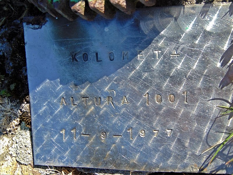 Buzoiko Plaka