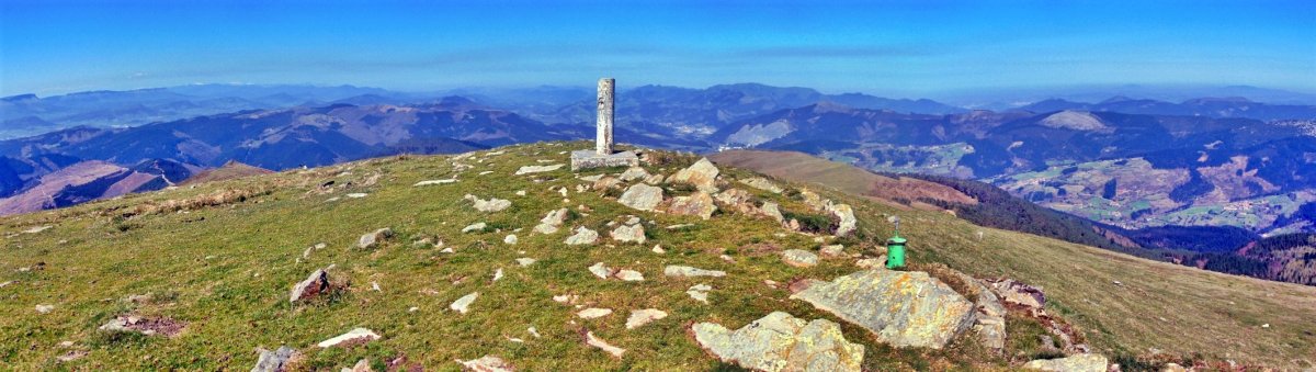 Tontorra
