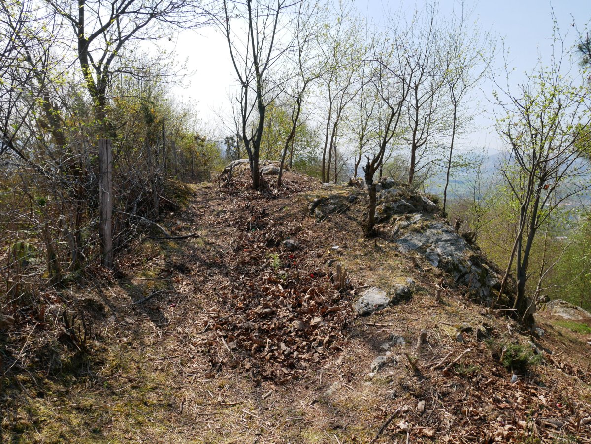 Atxurro gaina