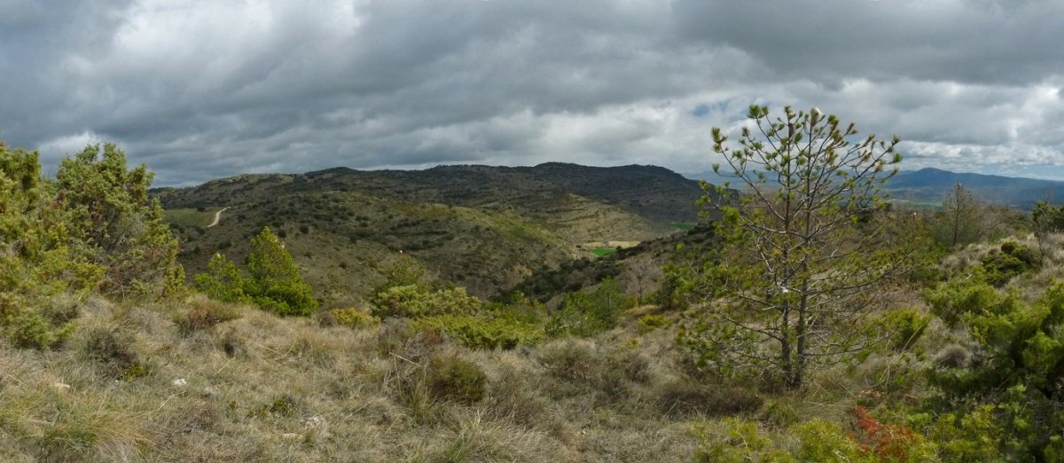 Iguzkungo gainaldea