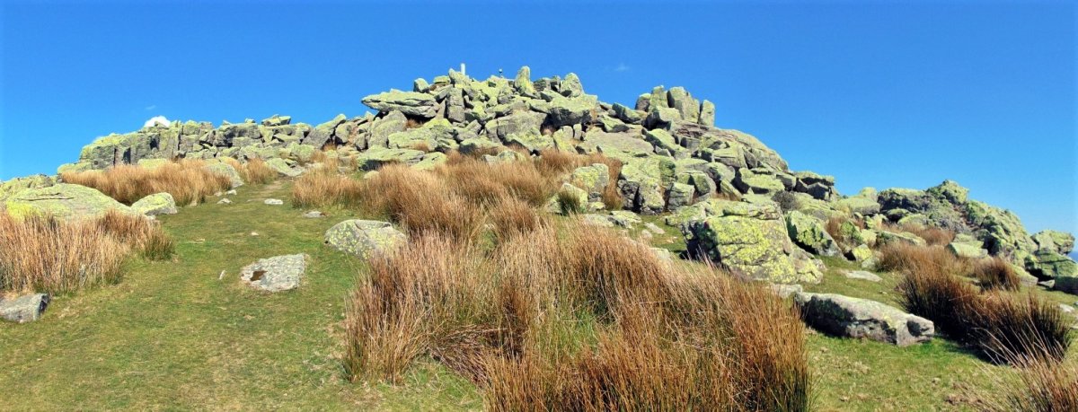 Tontorra