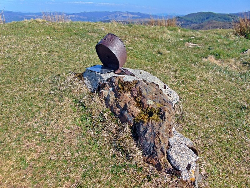 Buzoia