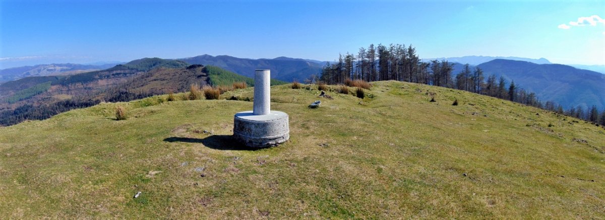 Tontorra