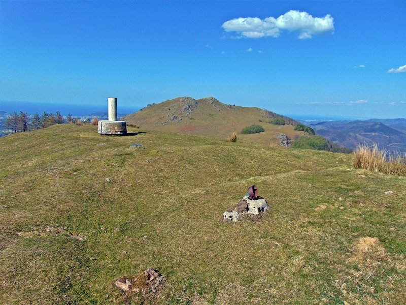 Tontorra