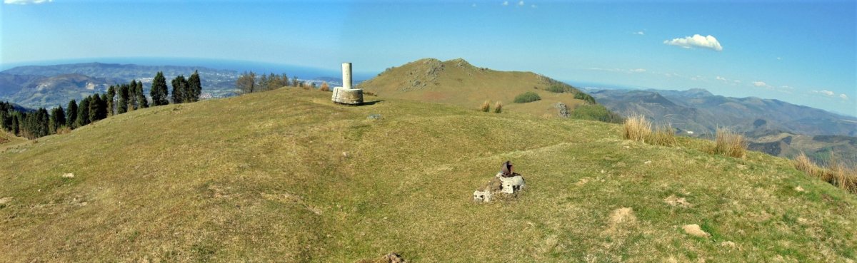 Tontorra