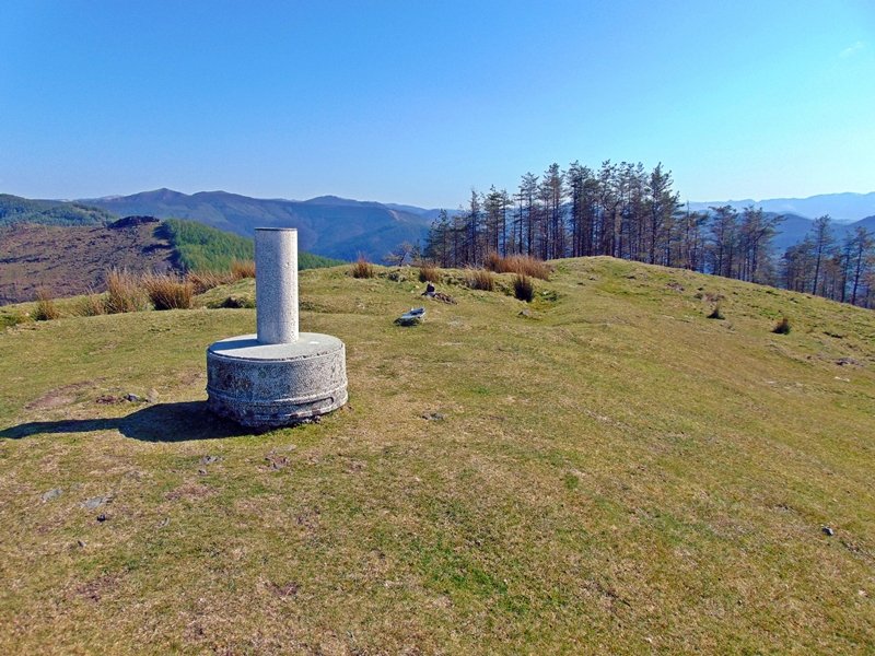 Tontorra