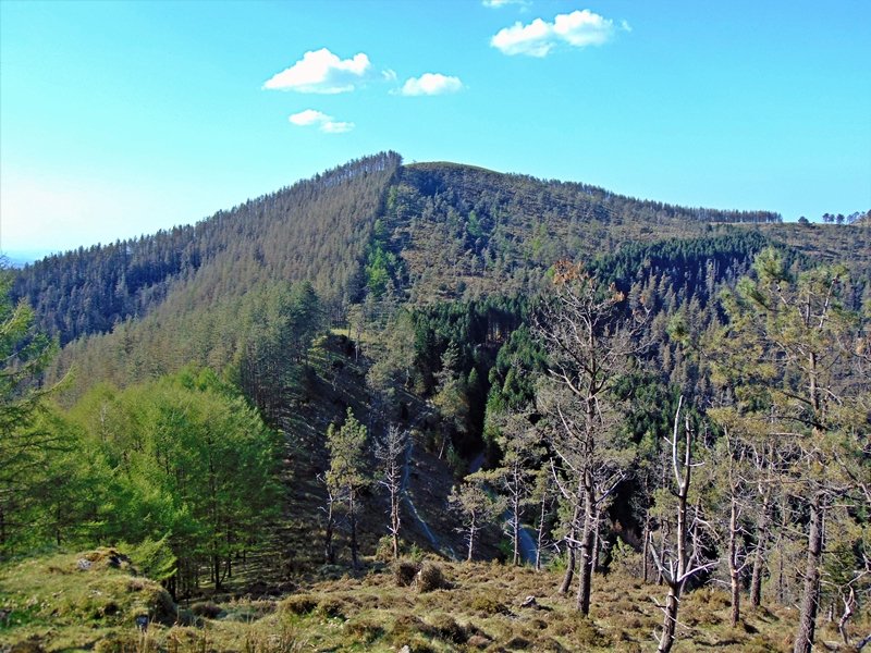 Zaburu Ingurutik