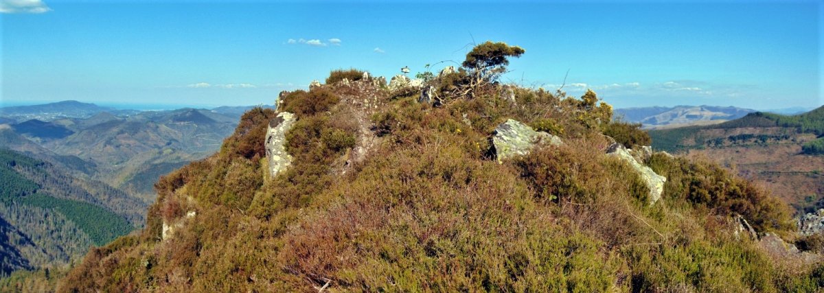 Tontorra