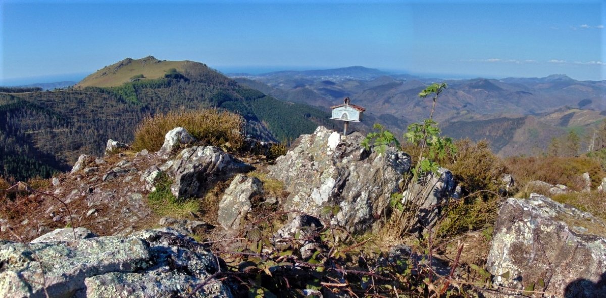 Tontorra