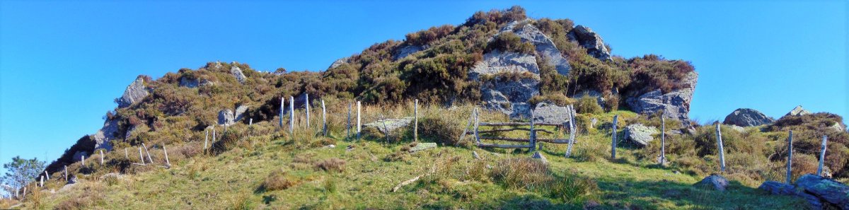 Tontorra