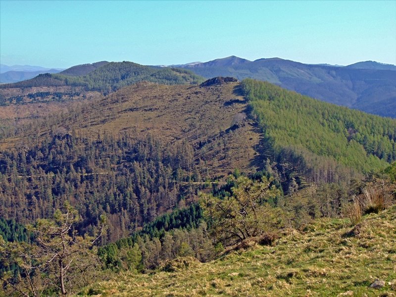 Onddotik