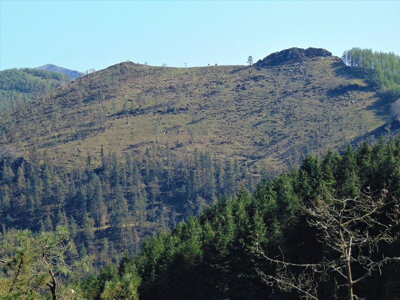 Zaburu