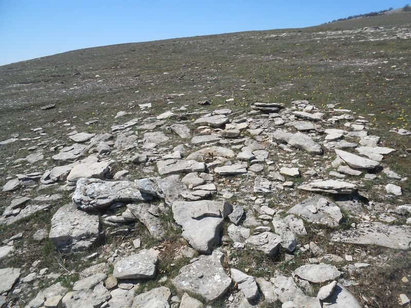 El Cerrado tumulua