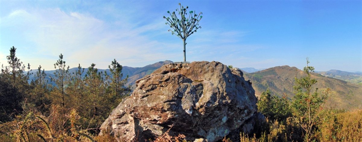 Tontorra