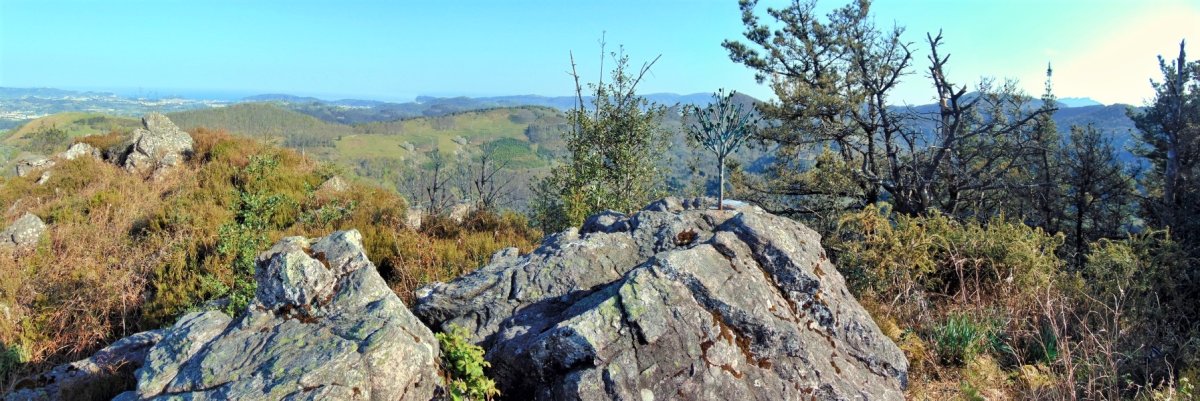 Tontorra