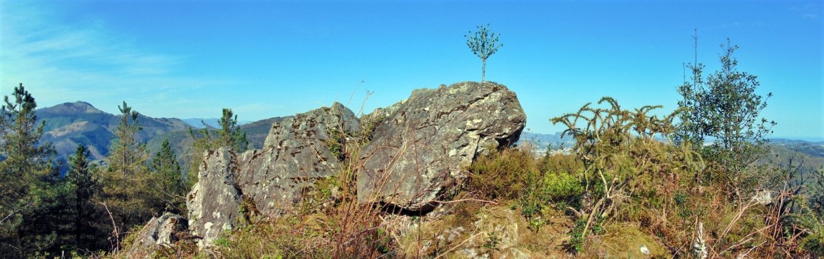 Tontorra