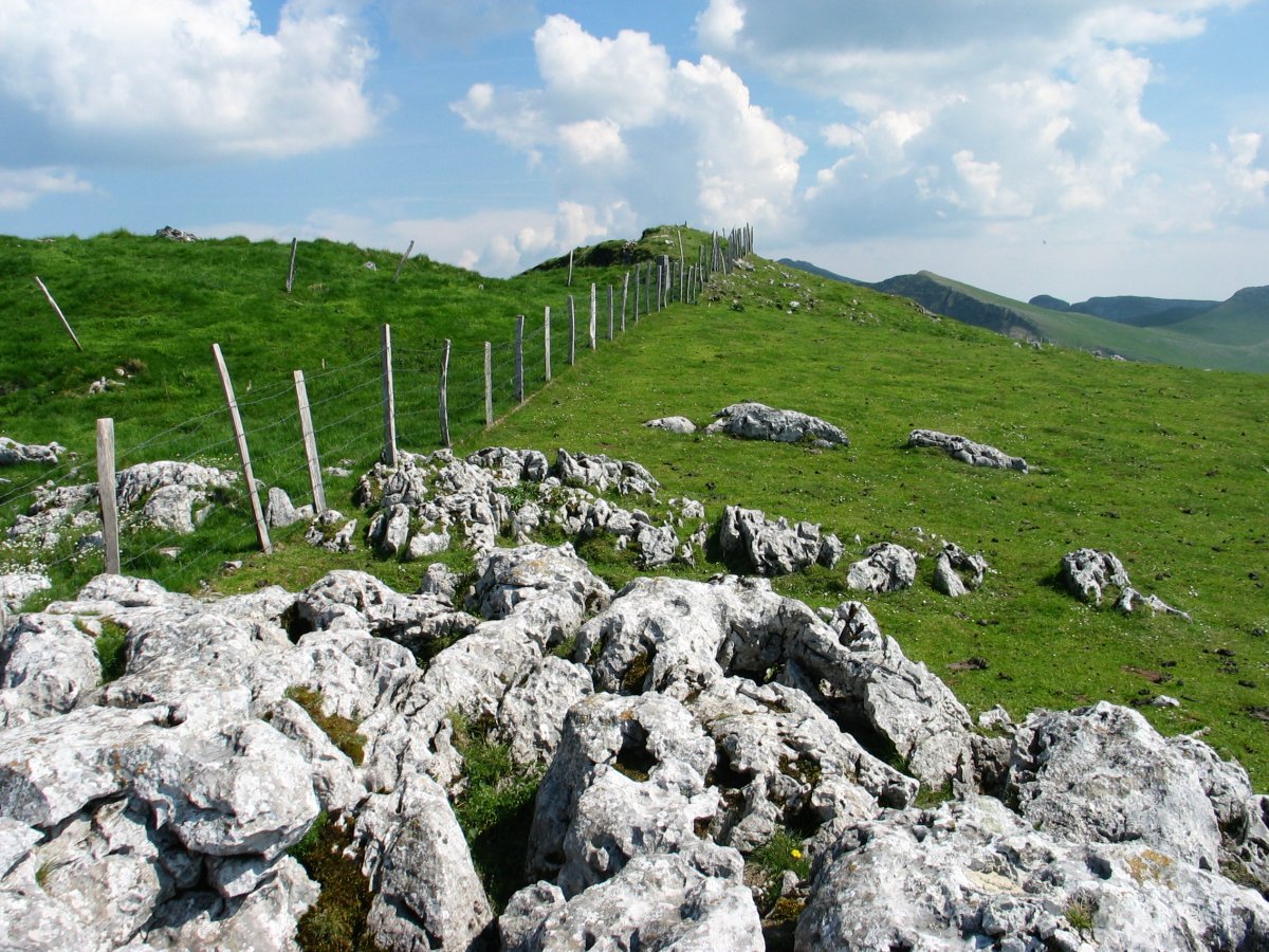 Tontorra