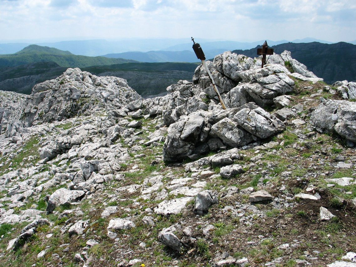 Tontorra