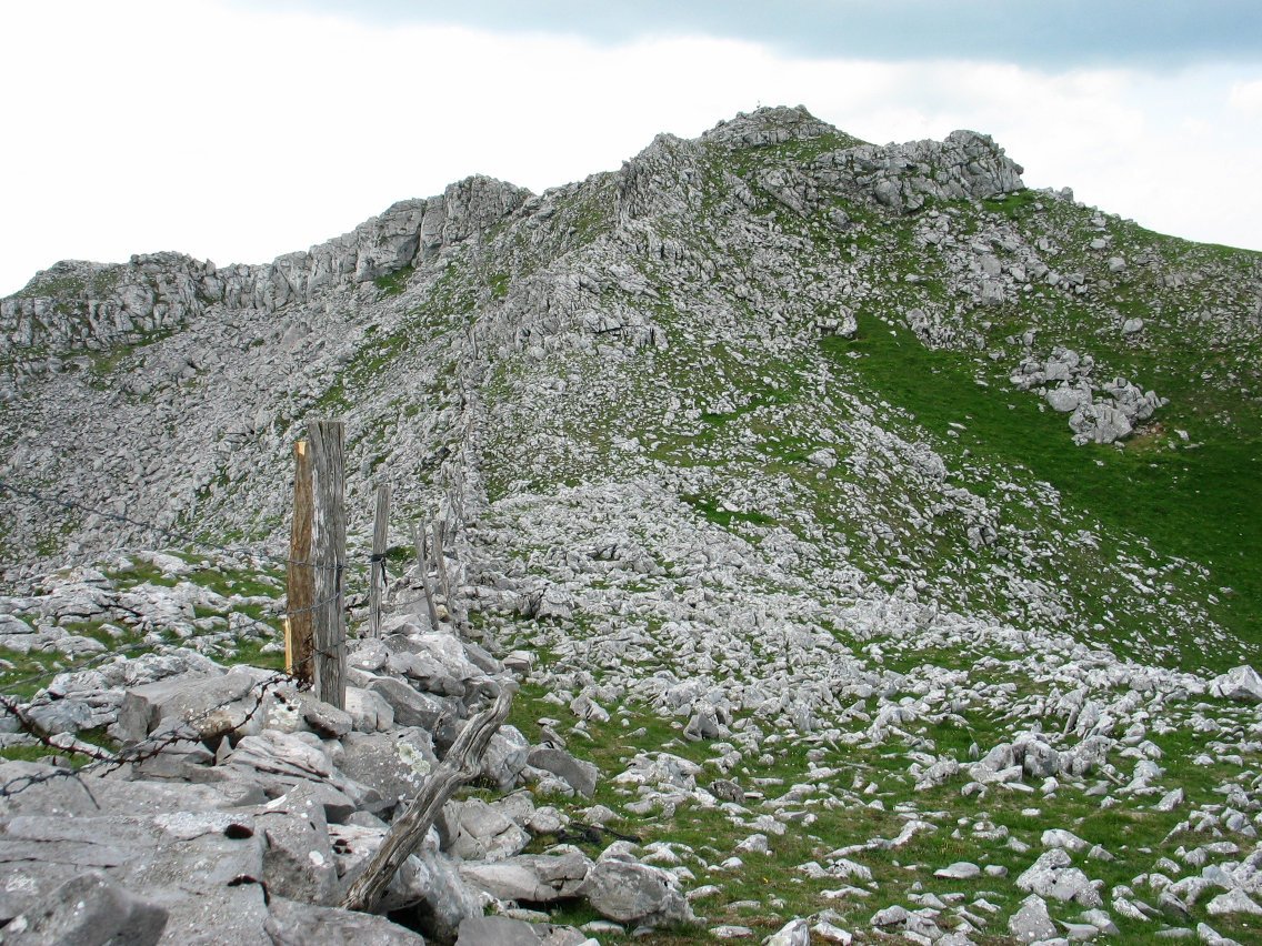 Tontorra