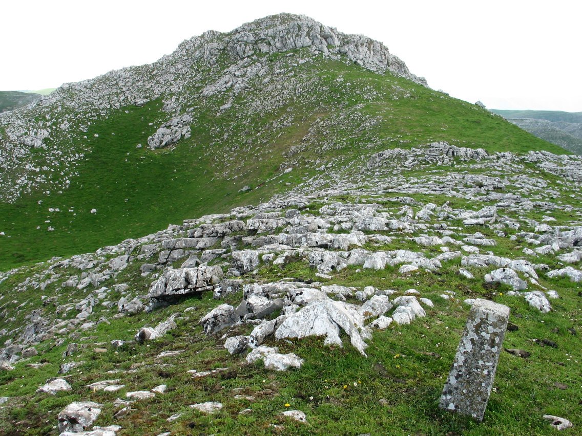 Tontorra