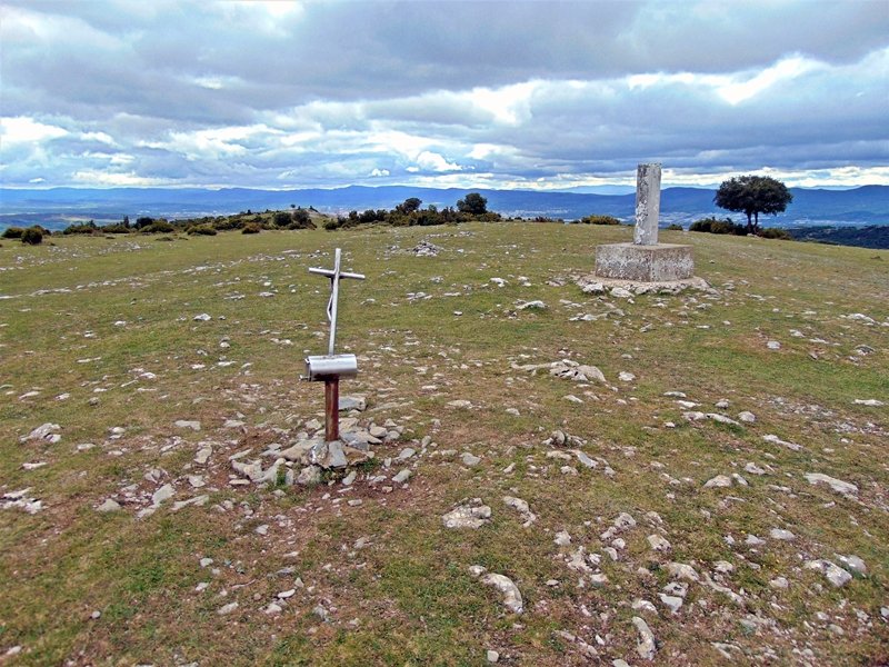 Tontorra