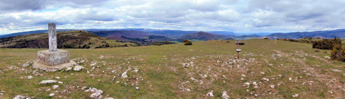 Tontorra