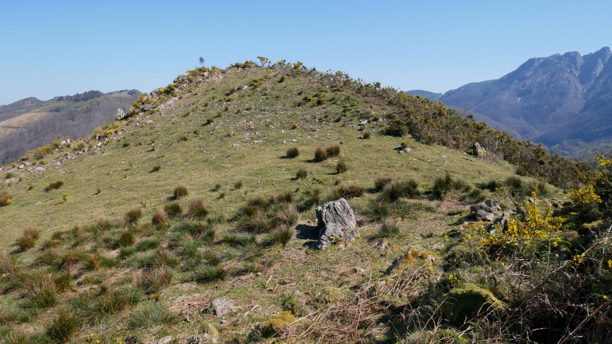 Pagoagalarre, tontorra