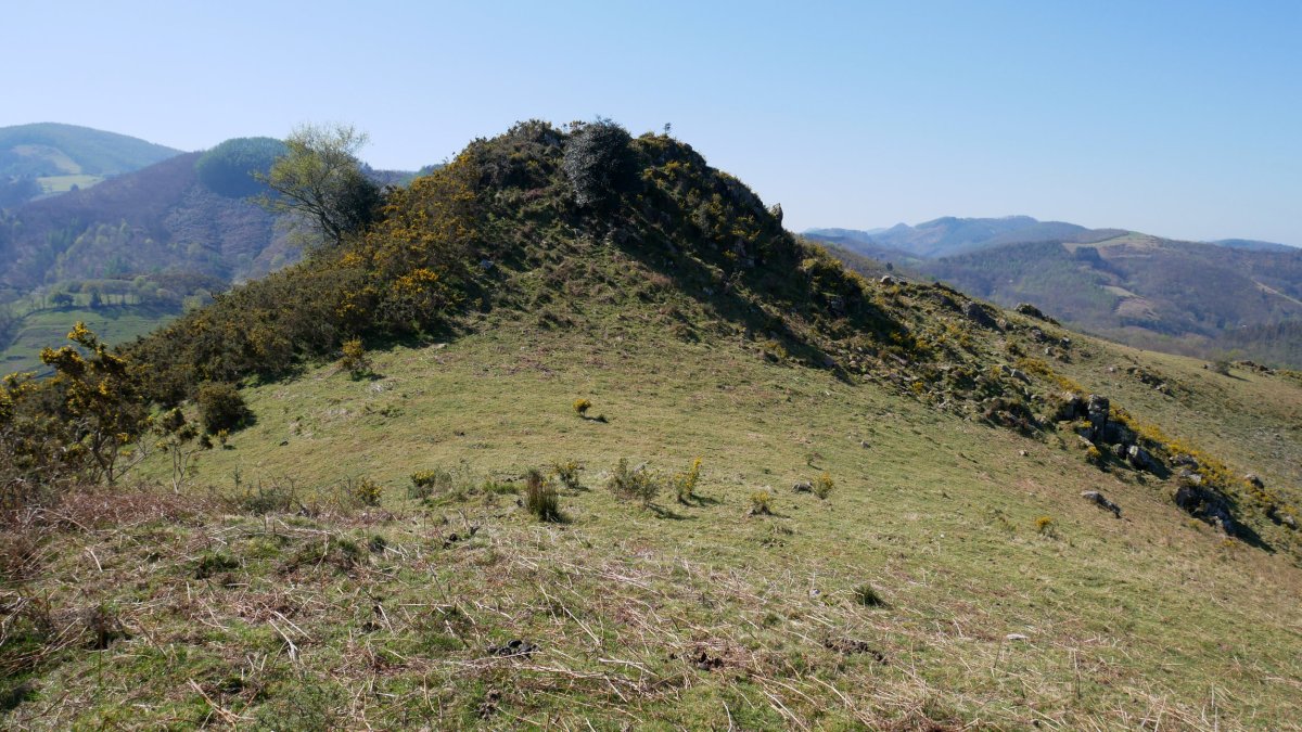 Pagoagalarre tontorra