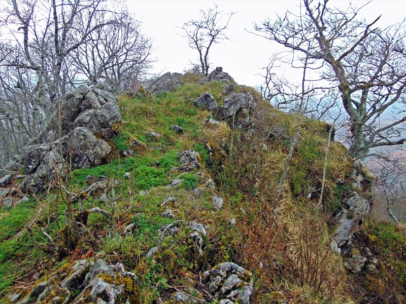 Tontorra