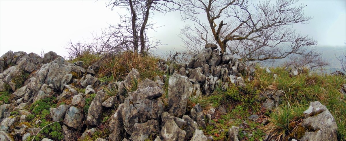 Tontorra
